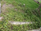 image of grave number 411575